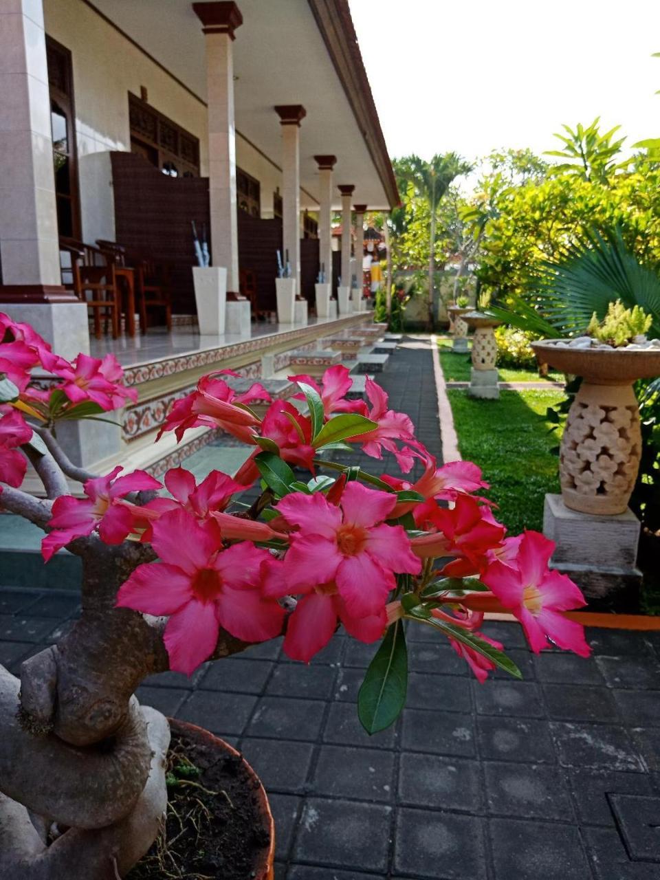 Frangipani Homestay Nusa Dua  Ngoại thất bức ảnh