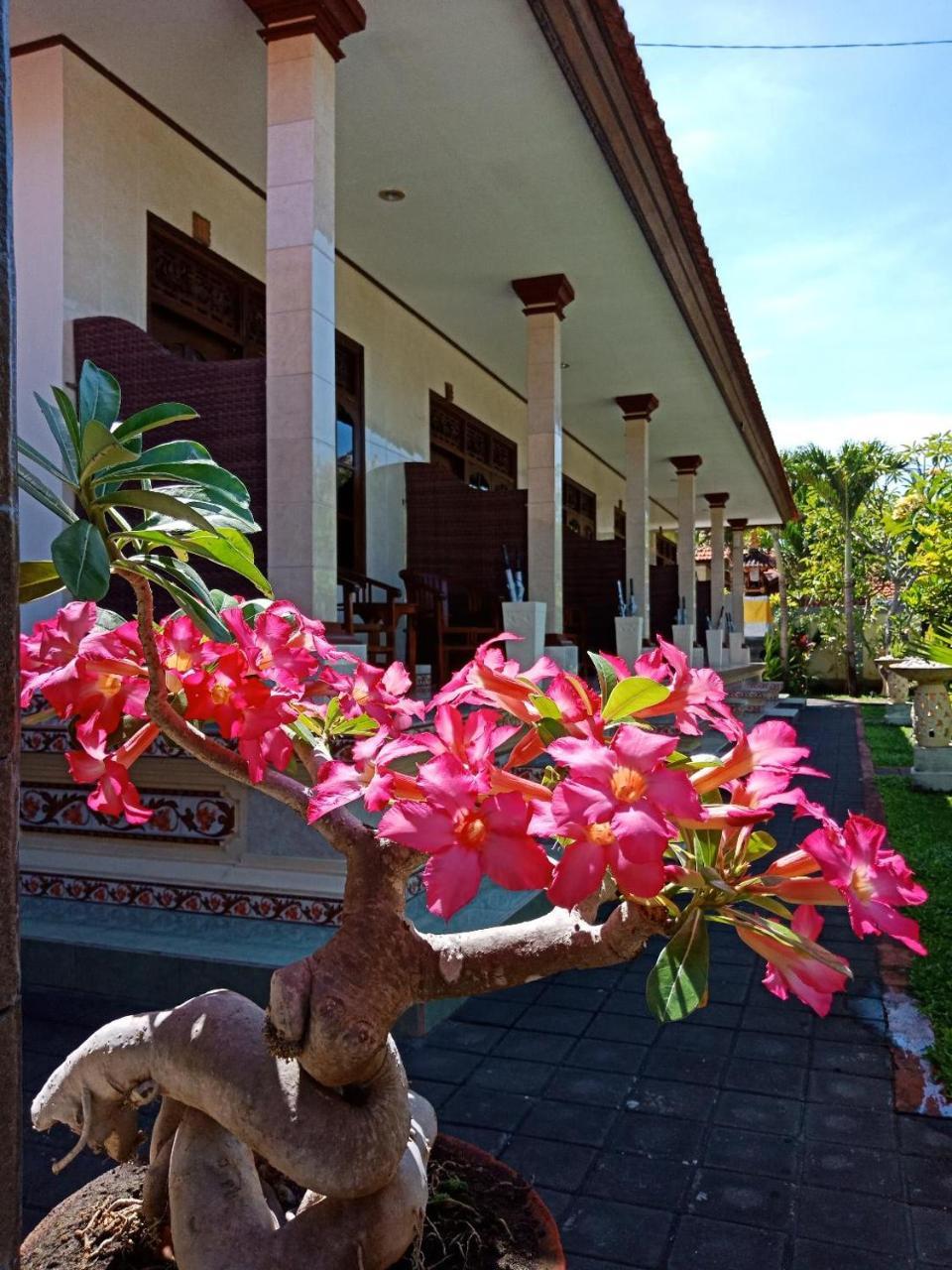 Frangipani Homestay Nusa Dua  Ngoại thất bức ảnh